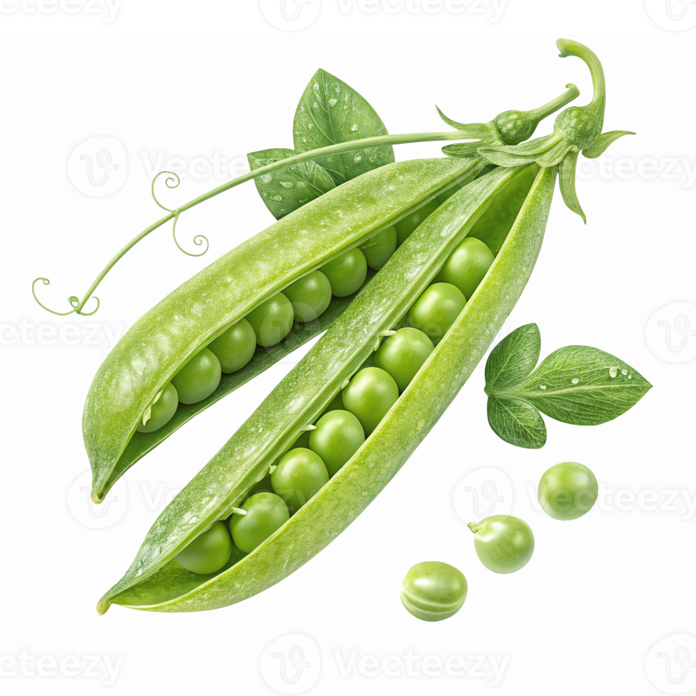 Fresh Green Peas in Pod with Leaves for Healthy Eating and Culinary Use png