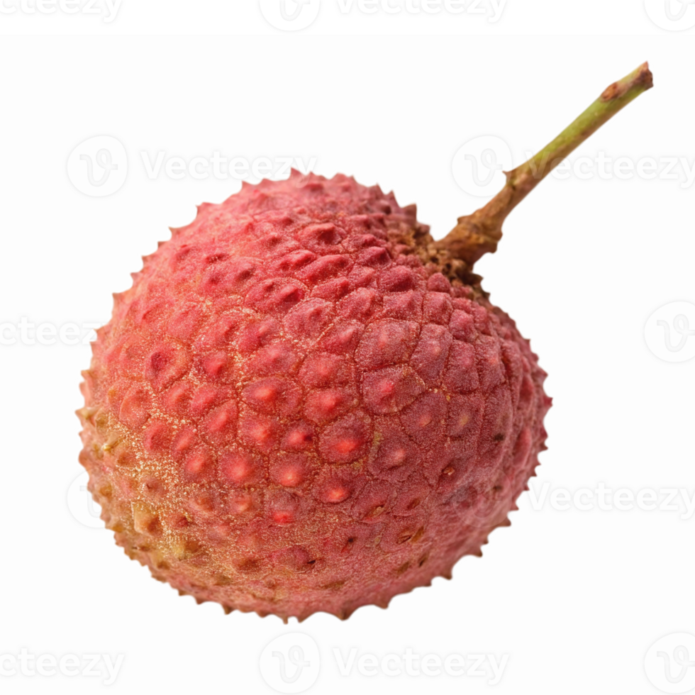Fresh Lychee Fruit with Spiky Pink Skin and Green Stem on Transparent Background png