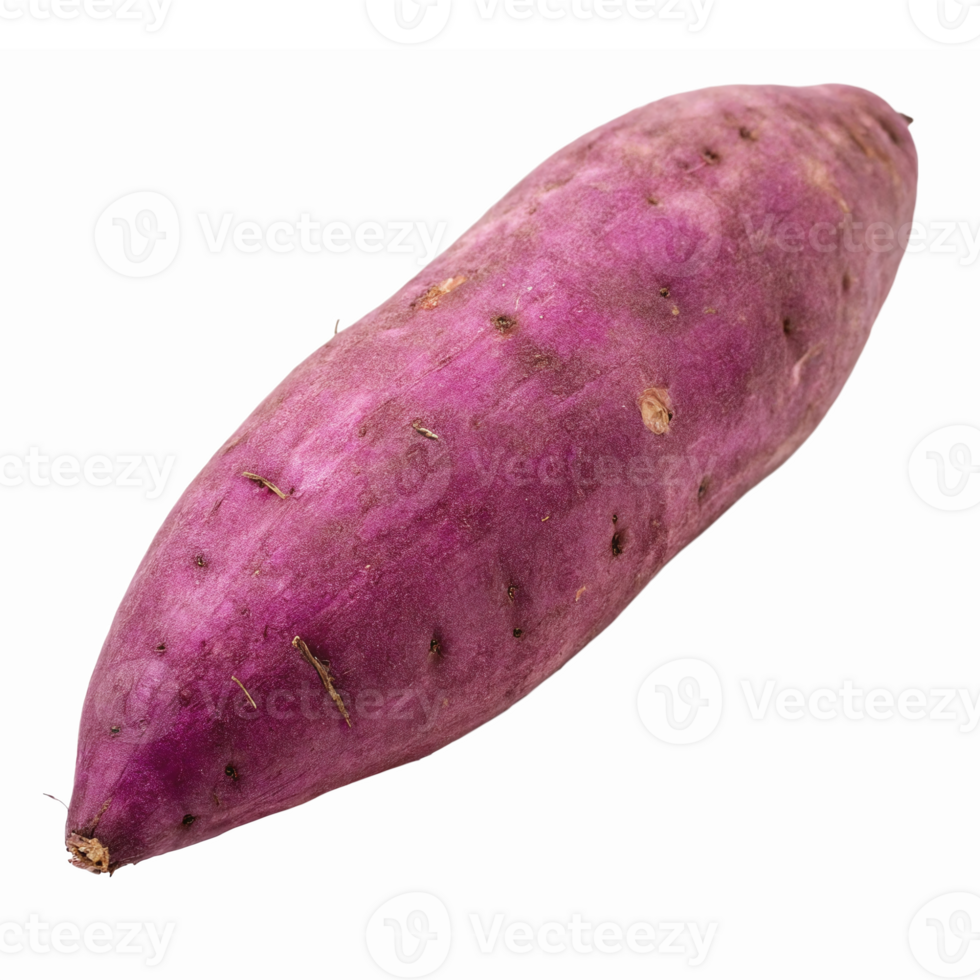 Fresh Purple Sweet Potato Vegetable Isolated on Transparent Background for Culinary Use png