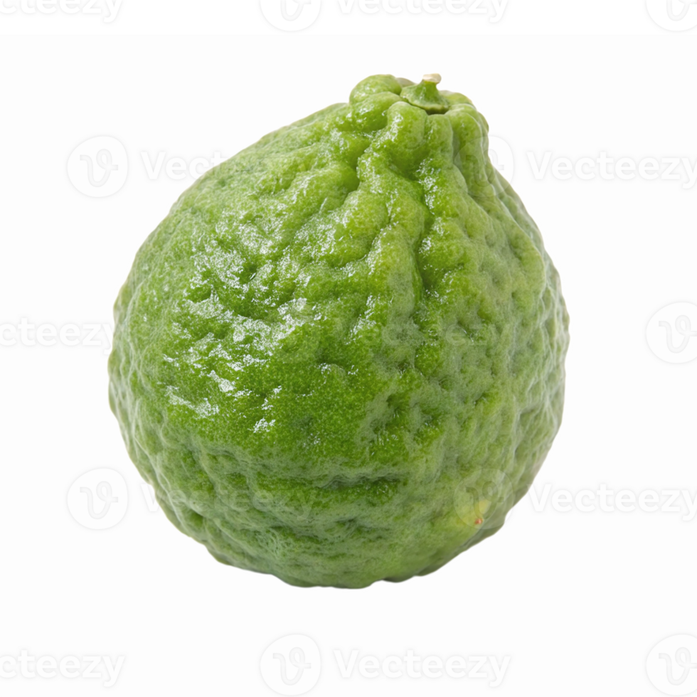Fresh Green Kaffir Lime with Unique Bumpy Texture Isolated on Transparent Background png