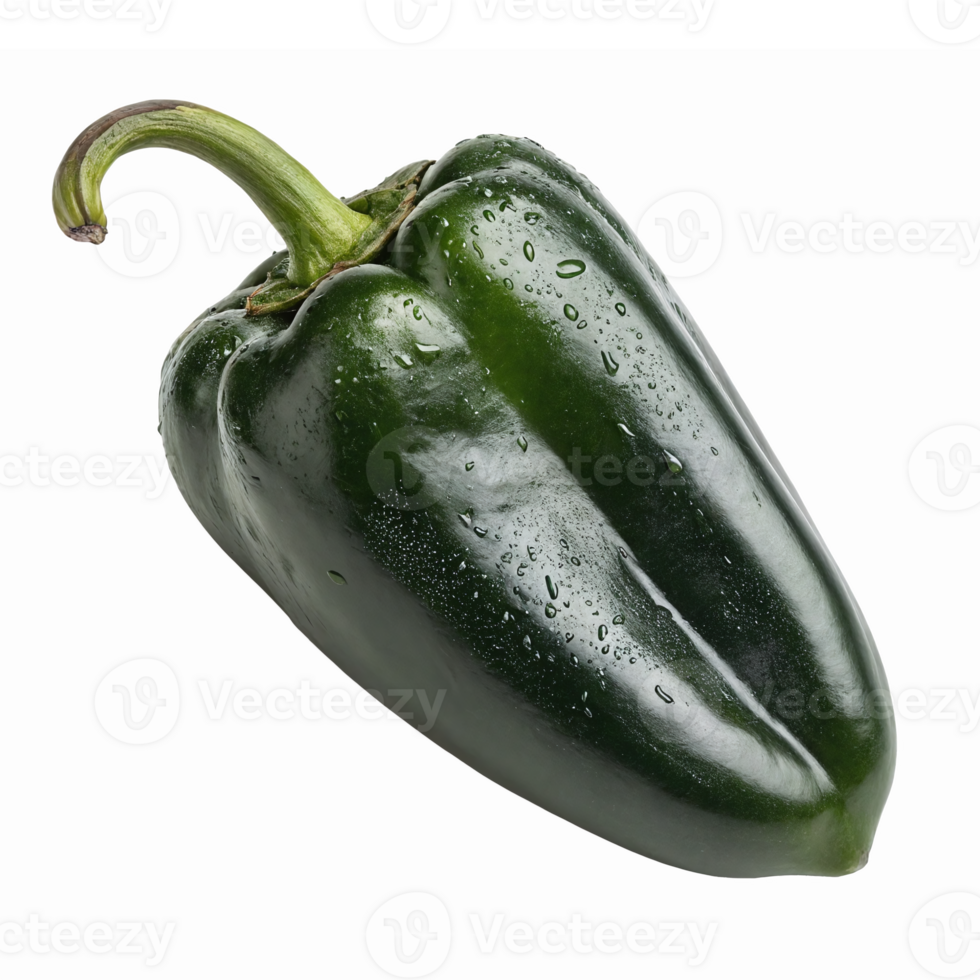 Fresh Green Poblano Pepper Isolated on Transparent Background Perfect for Culinary and Gardening Use png
