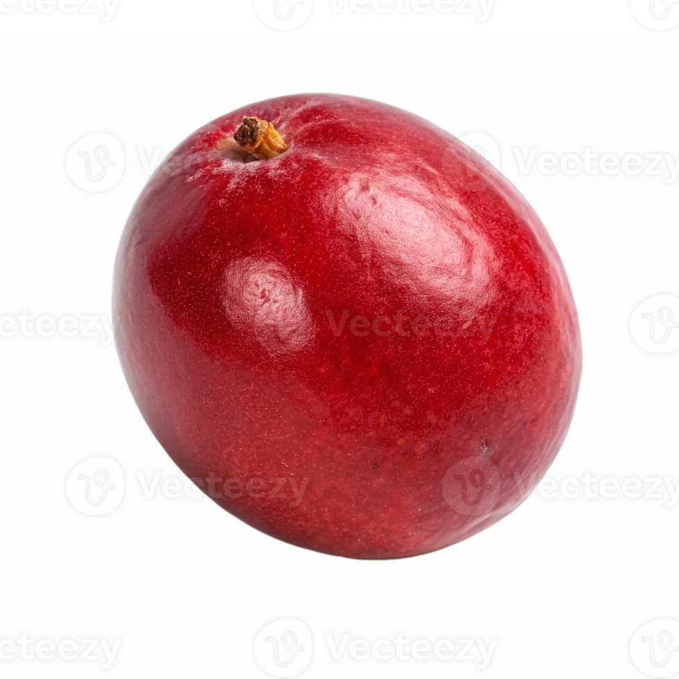 Fresh Cranberry Isolated on Transparent Background Perfect for Healthy Recipes and Nutrition png