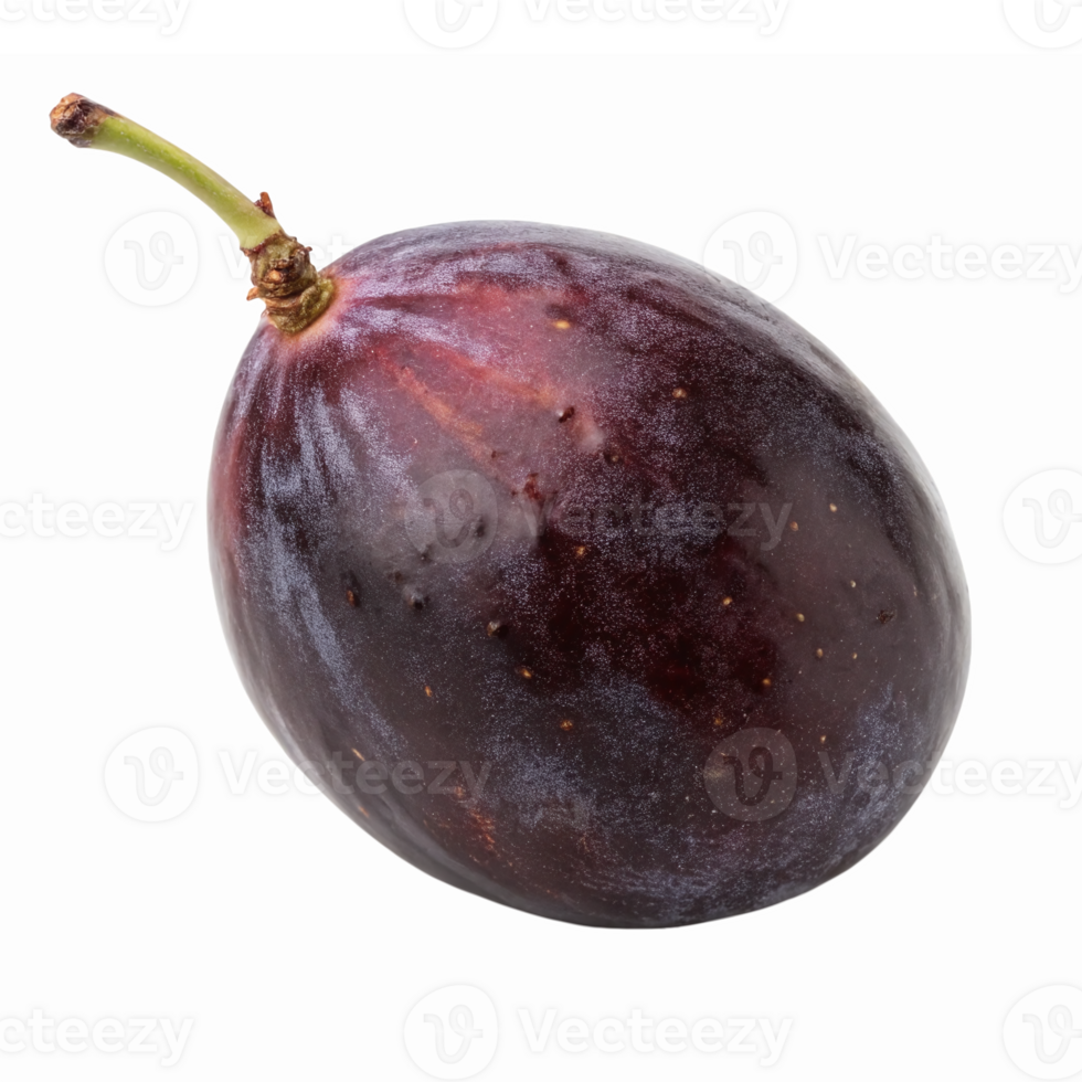 Fresh Purple Fig with Green Stem Isolated on Transparent Background for Culinary Use png