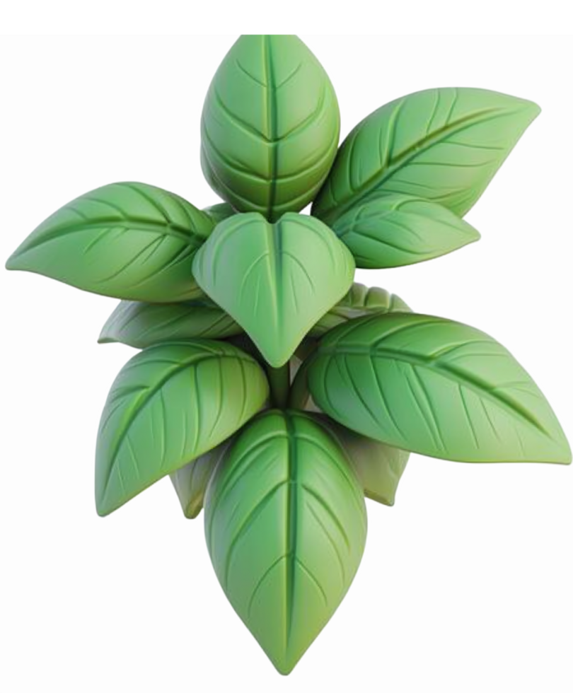 Realistic Green Leaf Cluster Illustration with Glossy Texture for Nature and Gardening Themes png