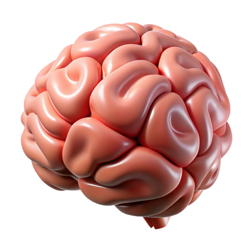 wonderful creative Portrait of a brain, high quality png