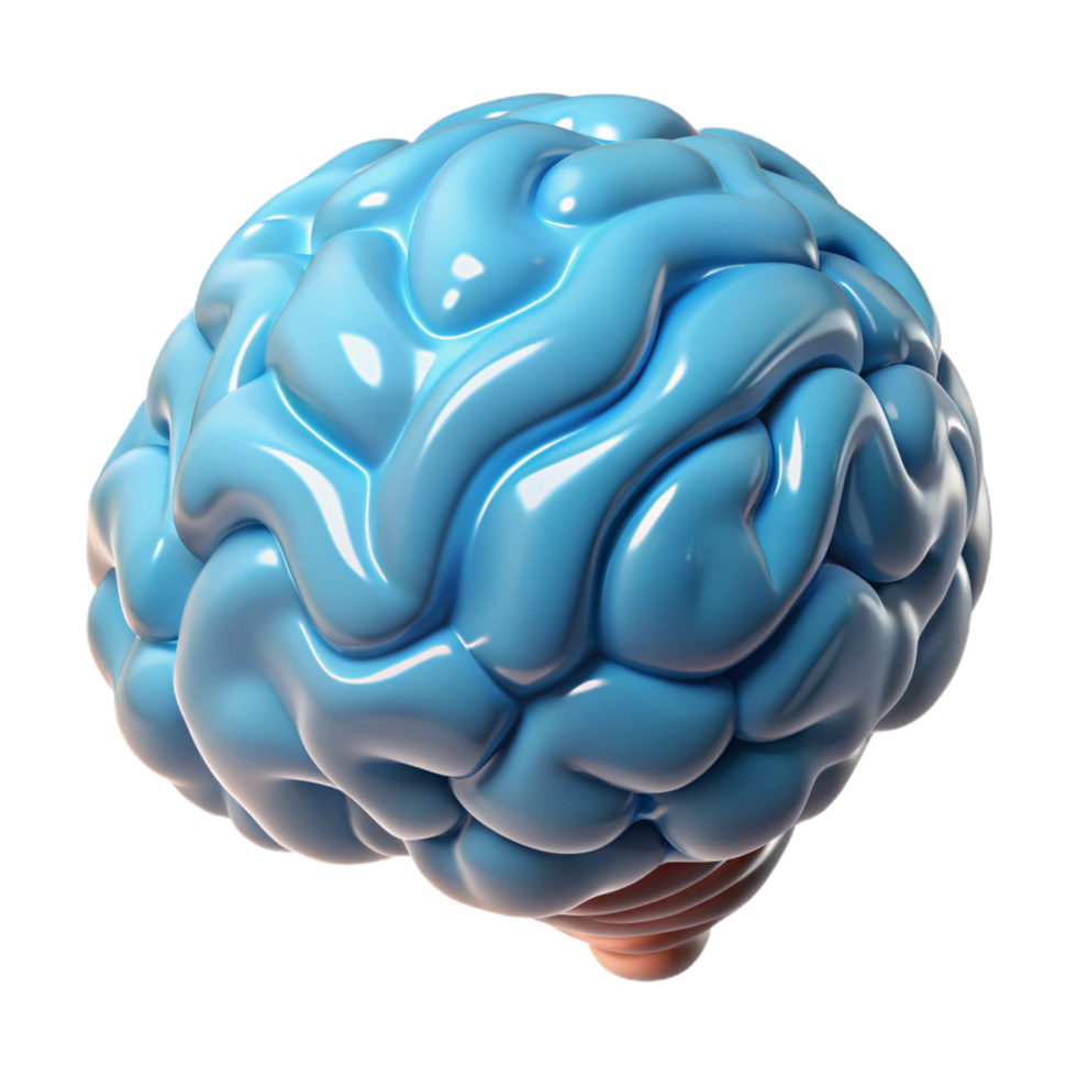 vibrant rustic Portrait of a brain, high resolution png