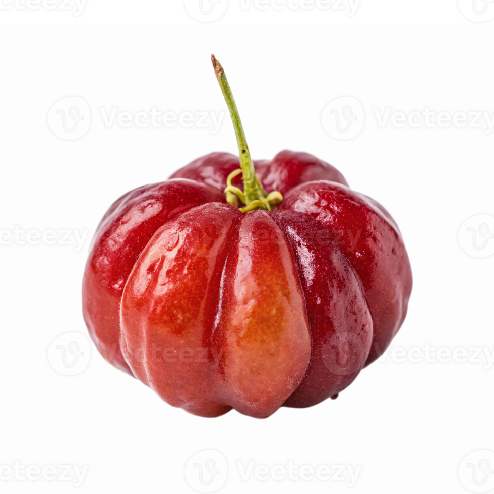 Fresh Bright Red Shell Gourd with Green Stem on Transparent Background png