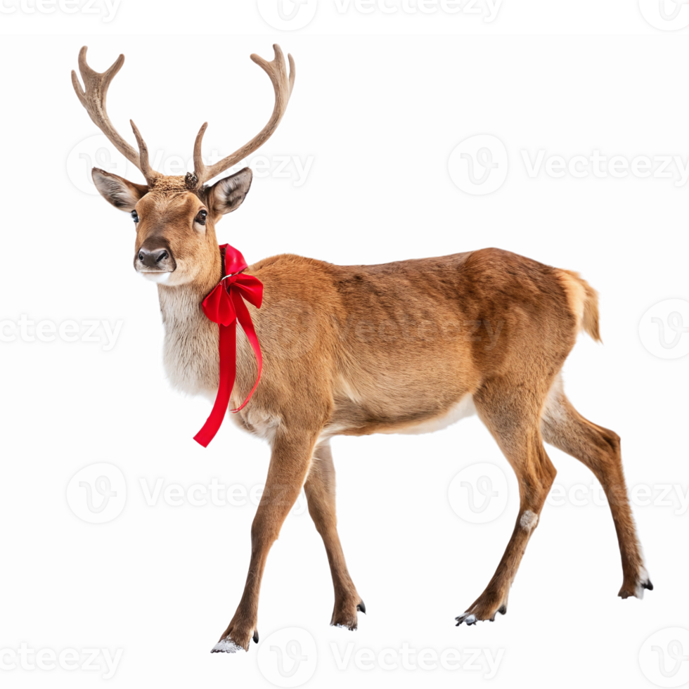 Festive Reindeer with Red Bow Standing Gracefully Ideal for Christmas and Holiday Decorations png