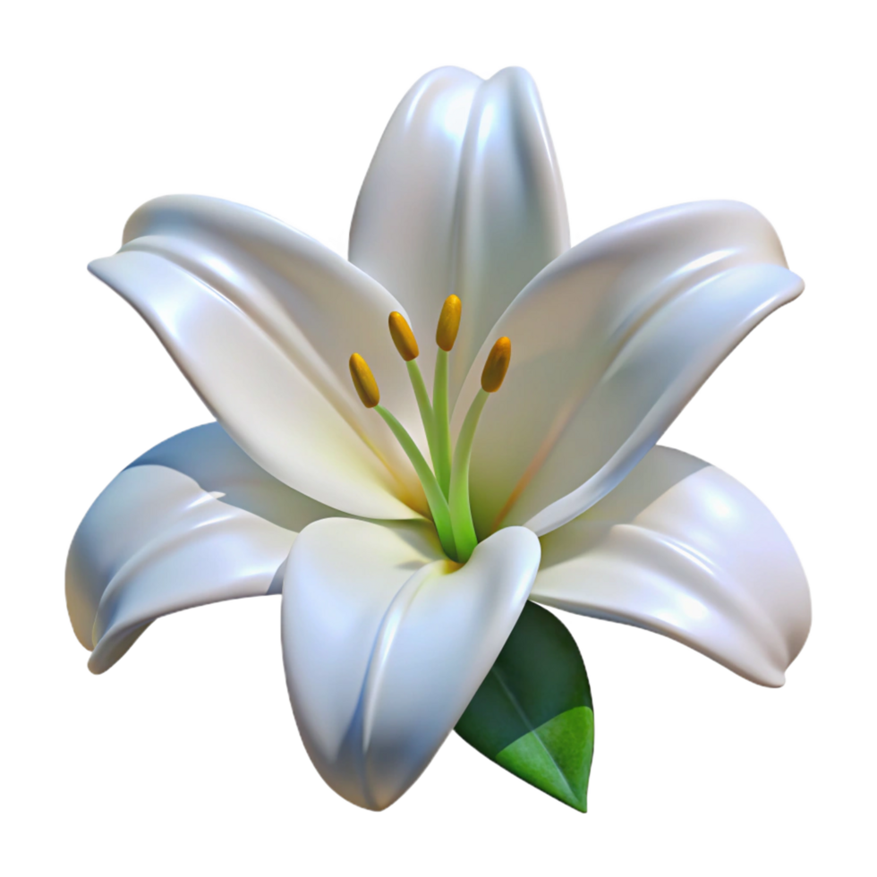 beautiful rustic Single white lily high resolution png