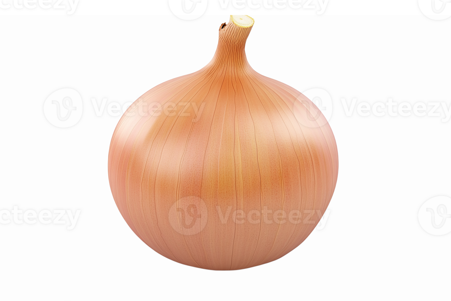 Realistic Brown Onion with Detailed Texture and Soft Lighting Suitable for Culinary Designs png