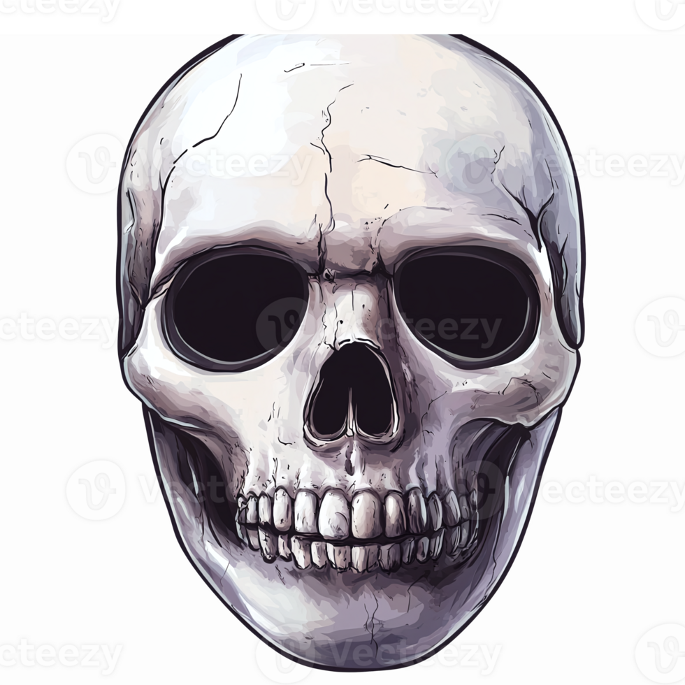 Realistic Skull Illustration with Cracks for Halloween Decorations and Educational Purposes png
