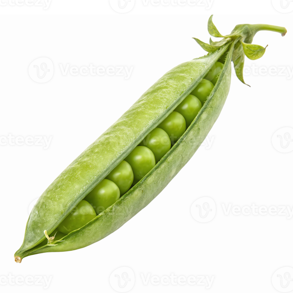 Fresh Green Pea Pod with Whole Peas Isolated on a Transparent Background png