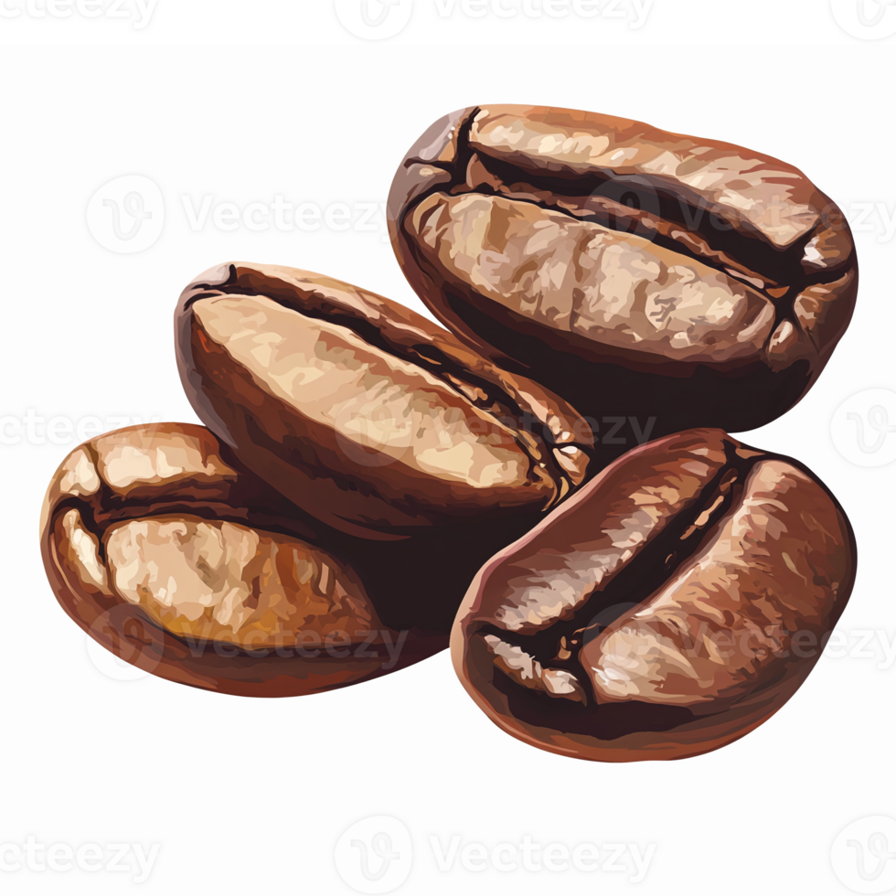 Realistic Coffee Beans Closeup Illustration for Branding and Culinary Use png