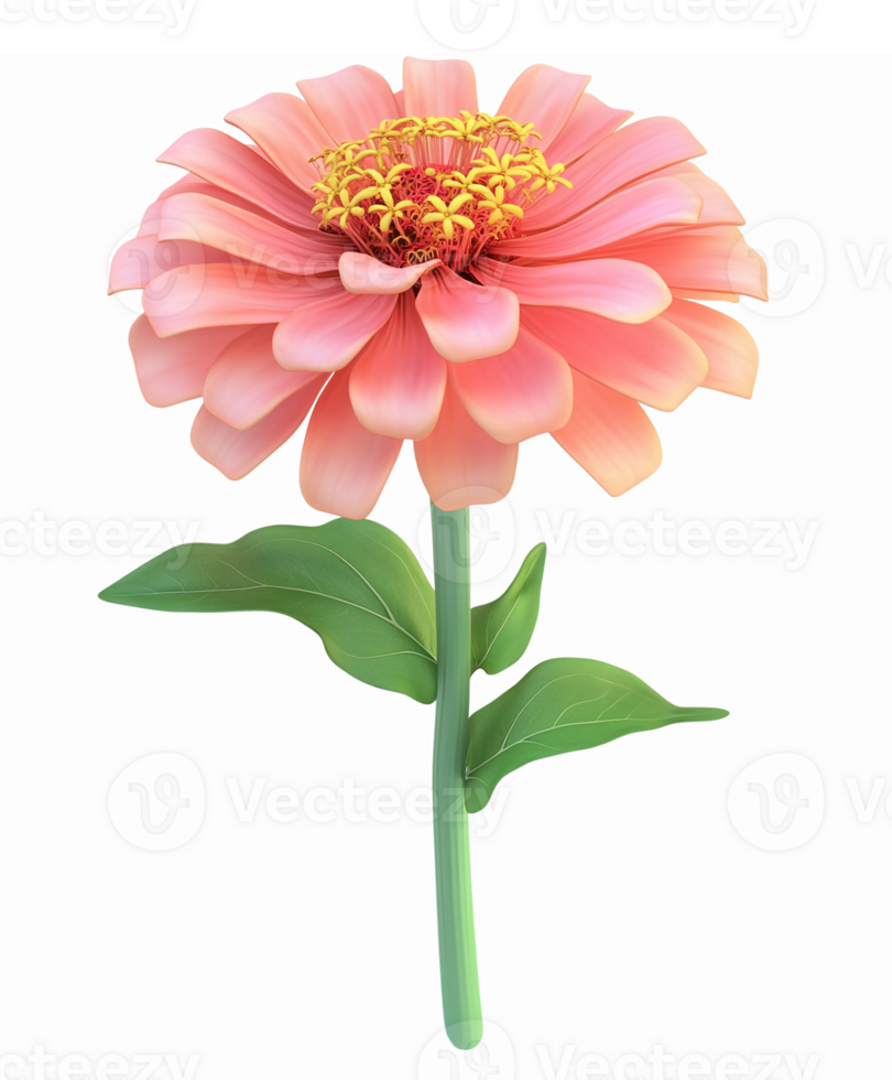 Vibrant Pink Zinnia Flower Illustration with Green Leaves on a Transparent Background png