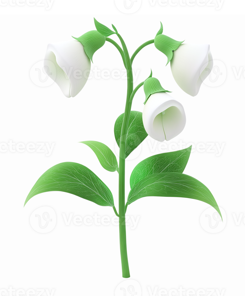 Elegant White Flower Stem with Three Buds and Green Leaves for Floral Design Projects png