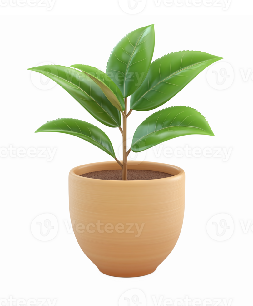 Indoor Potted Plant Illustration with Lush Green Leaves for Home Decor and Gardening Design png