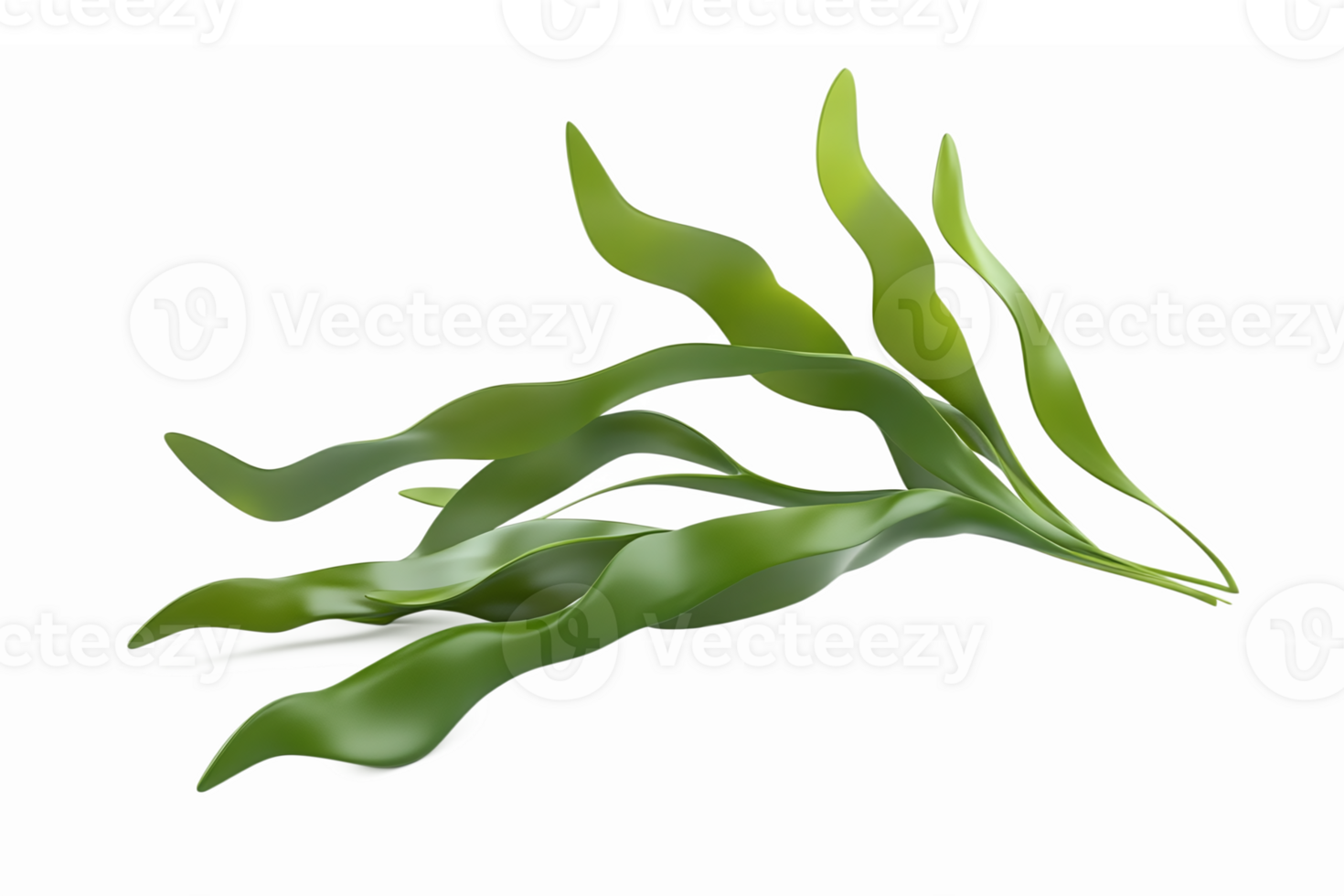 Green Seaweed Algae Plant Design for Aquatic Decor and Marine Life Themes png