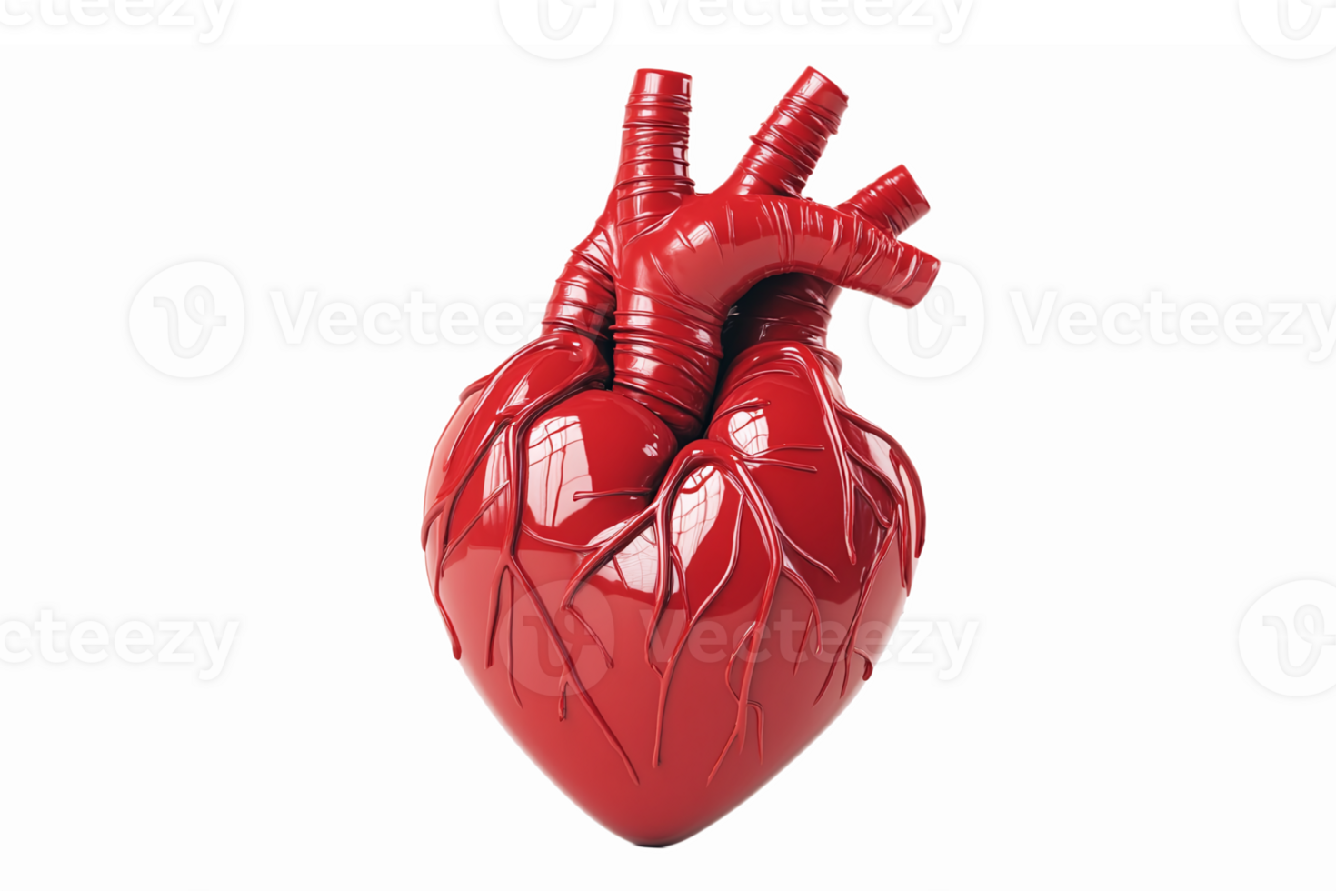 Realistic Red Anatomical Heart Design for Medical Illustration and Health Education png