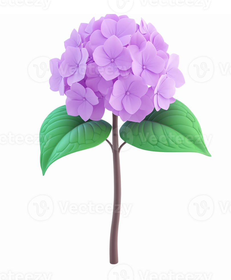 Beautiful Purple Hydrangea Flower With Leaves on Transparent Background png