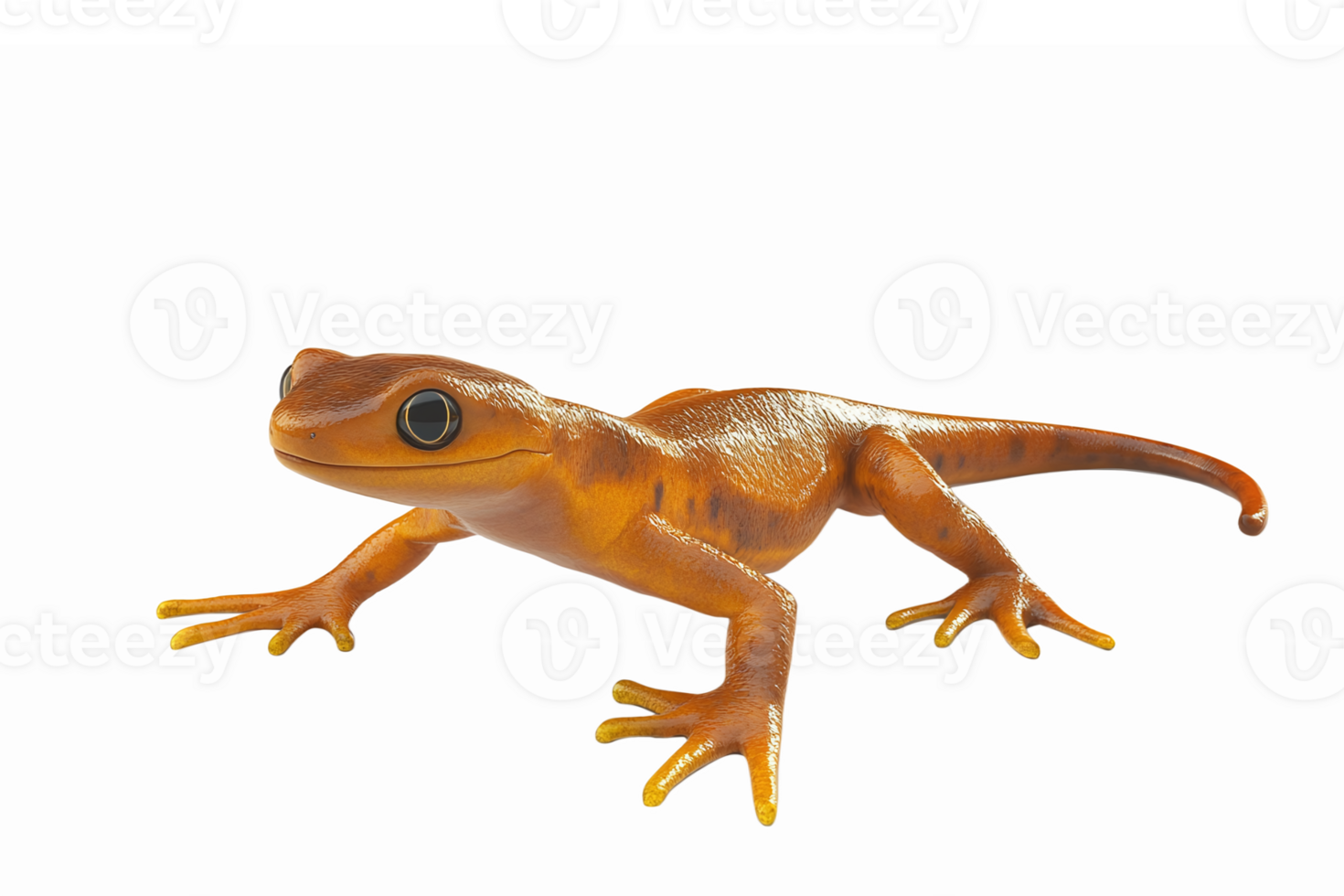 Realistic 3D Render of an Orange Gecko on Transparent Background for Educational Use png