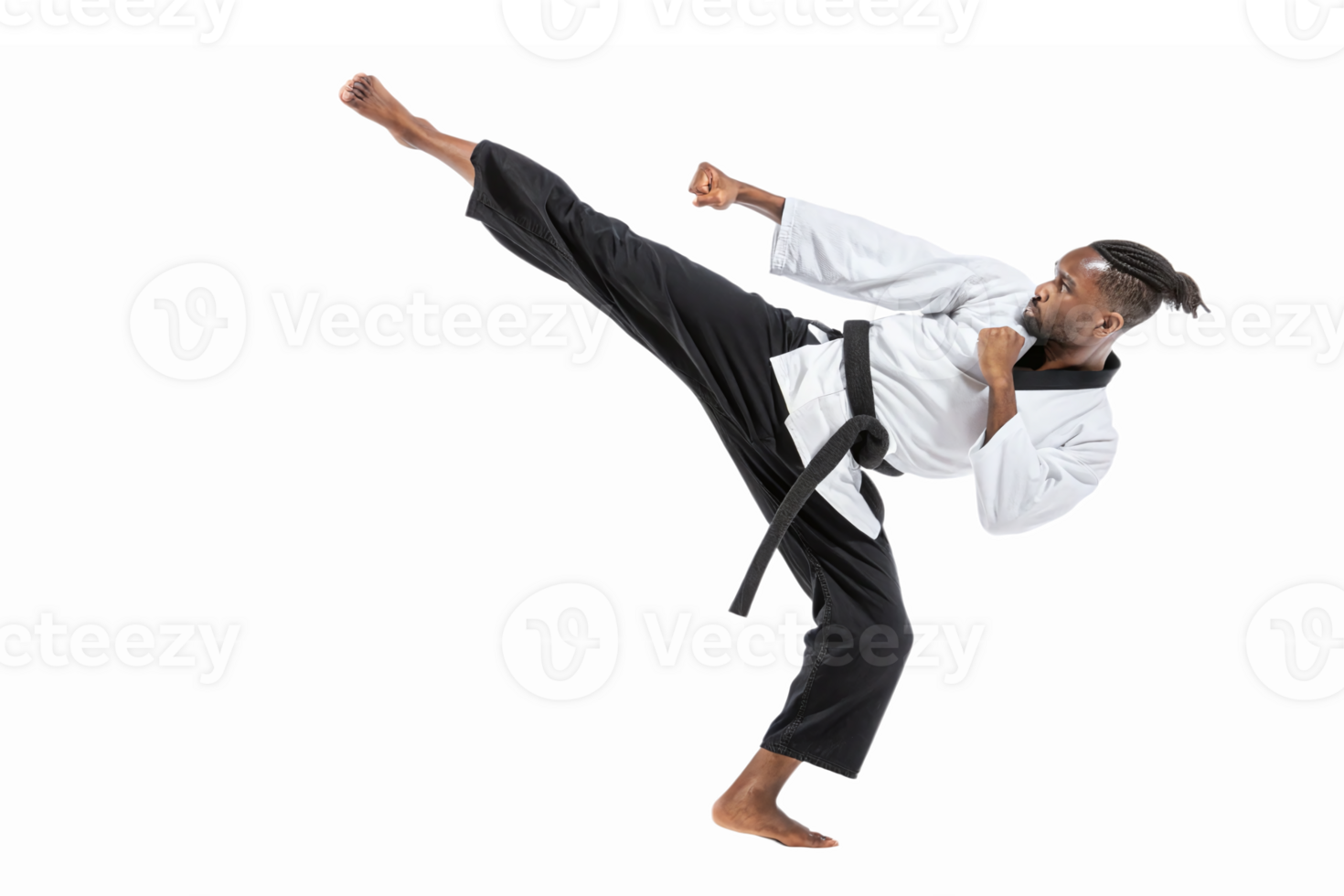 Martial Artist Performing High Kick in Traditional Attire with Black Belt Transparent Background png