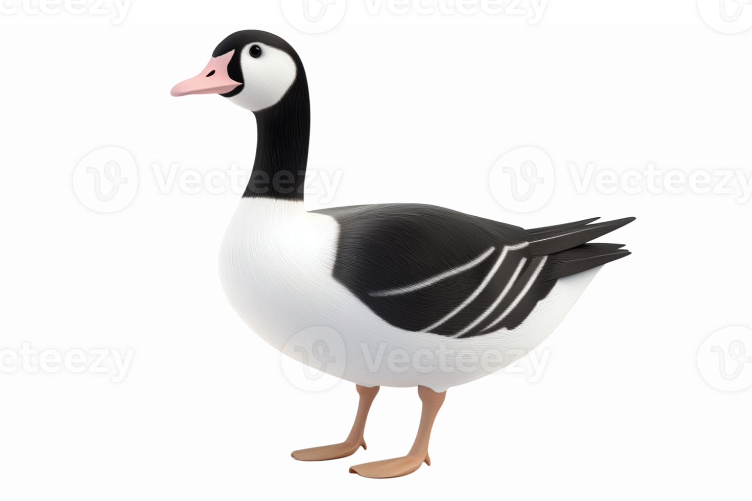 Realistic Illustration of a Tasmanian Duck with a Whimsical Design for Kids Projects png