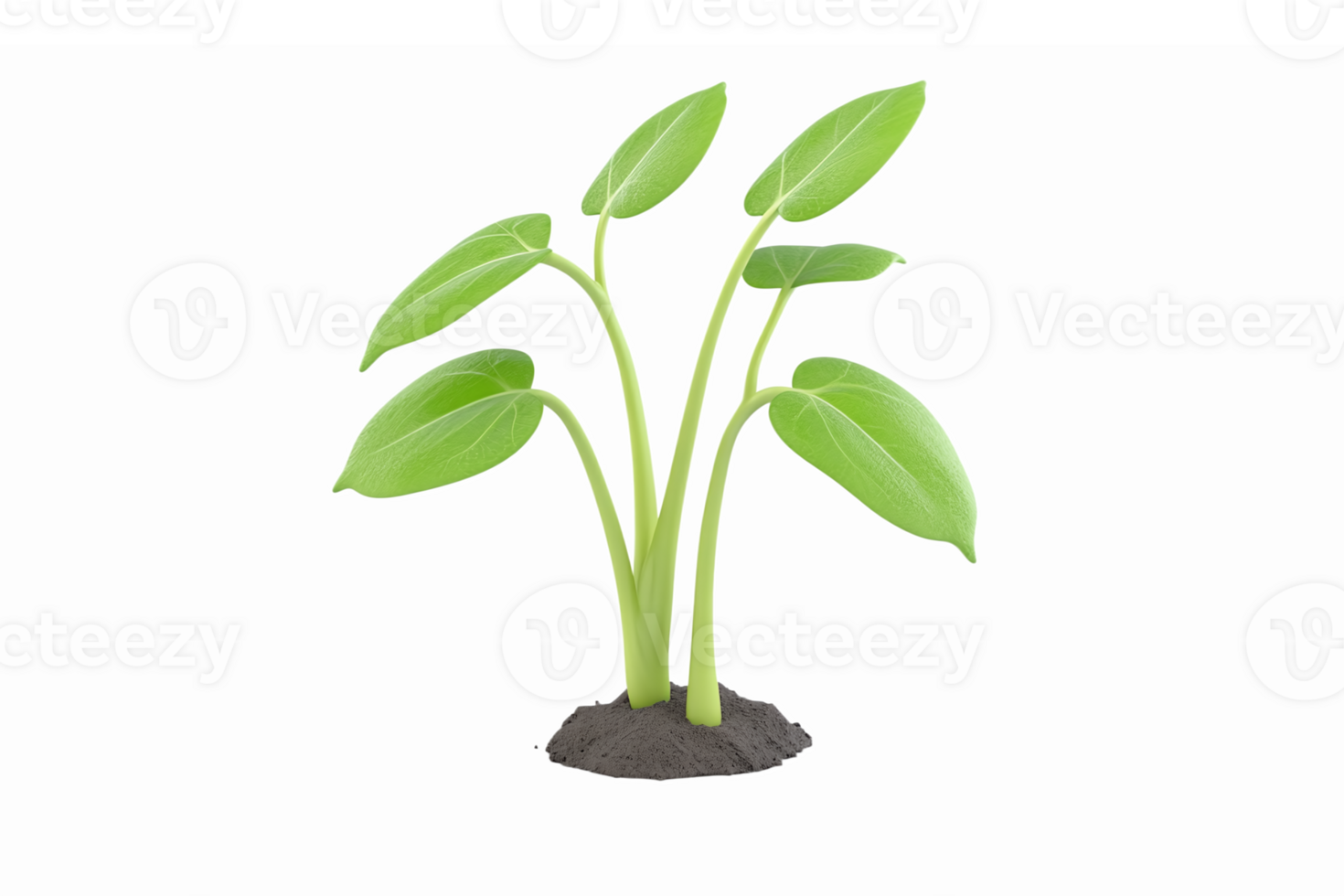 Green Seedling Plant with Multiple Leaves for Gardening and Nature Illustrations png