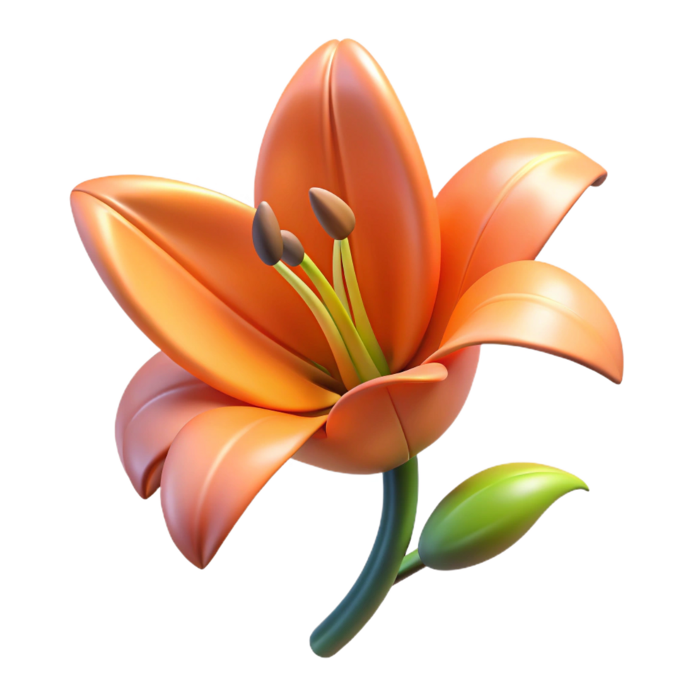 wonderful abstract Tiger lily flower bud high resolution png