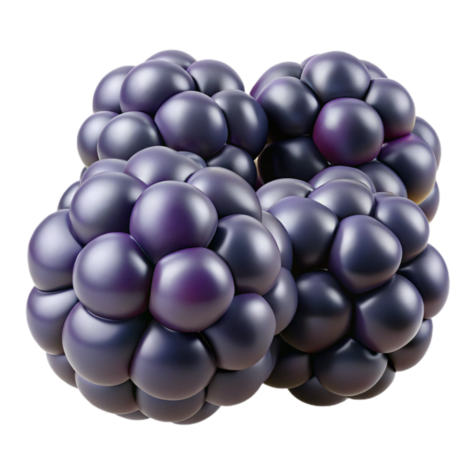 wonderful rustic Blackberry cluster authentic png