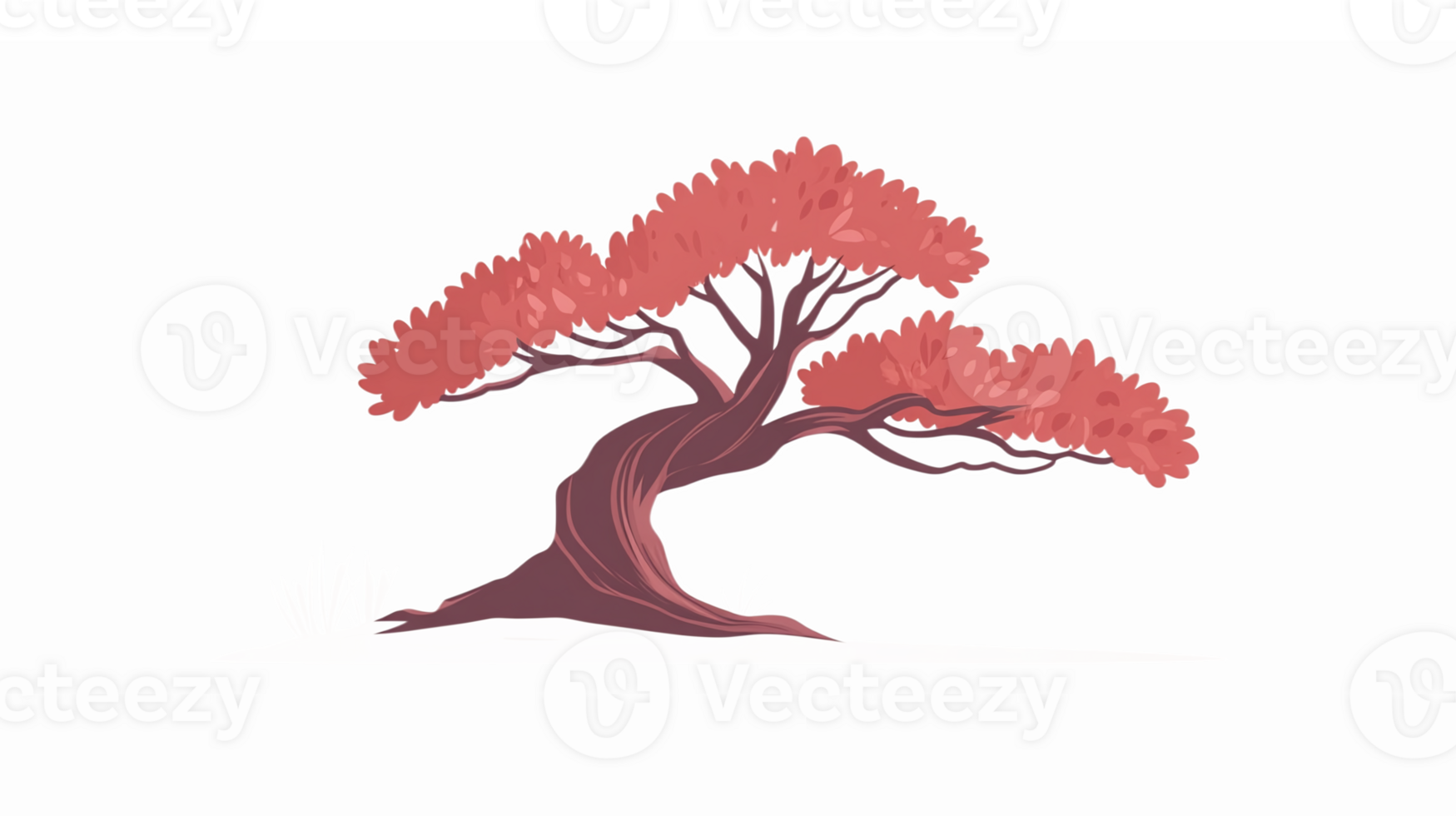 Beautiful Red Japanese Maple Tree with Artistic Leaves and Curved Branches on Transparent Background png