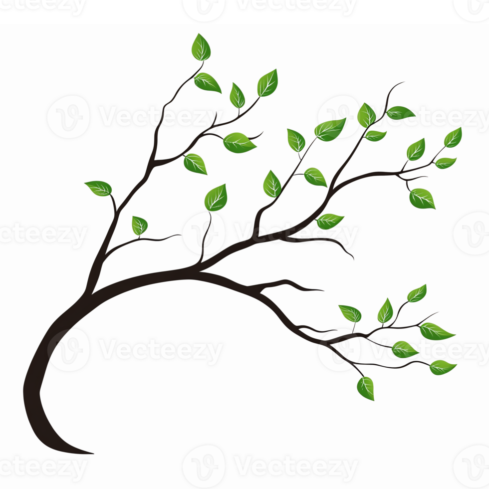 Green Leafy Branch Illustration Ideal for Nature Themes and Eco-Friendly Designs png