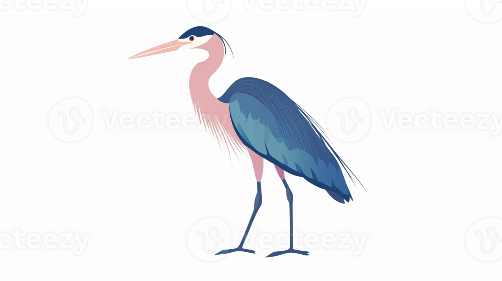 Colorful Elegant Great Blue Heron Standing Gracefully on One Leg with Detailed Feathers png