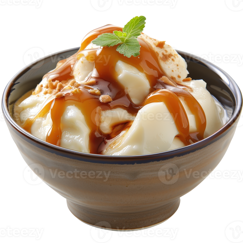 Creamy Dessert with Caramel Sauce and Mint Leaf Served in a Rustic Bowl png