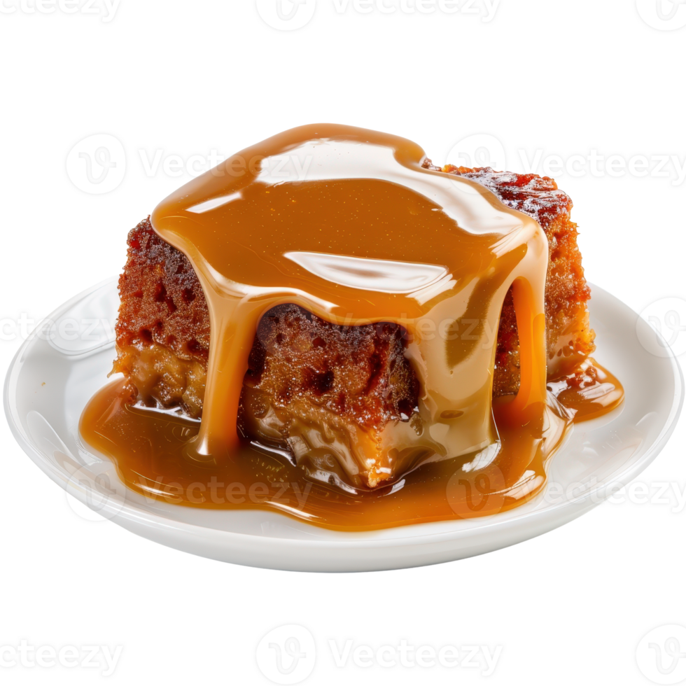 Delicious Caramel Cake Slice on White Plate with Dripping Sauce and Soft Texture png