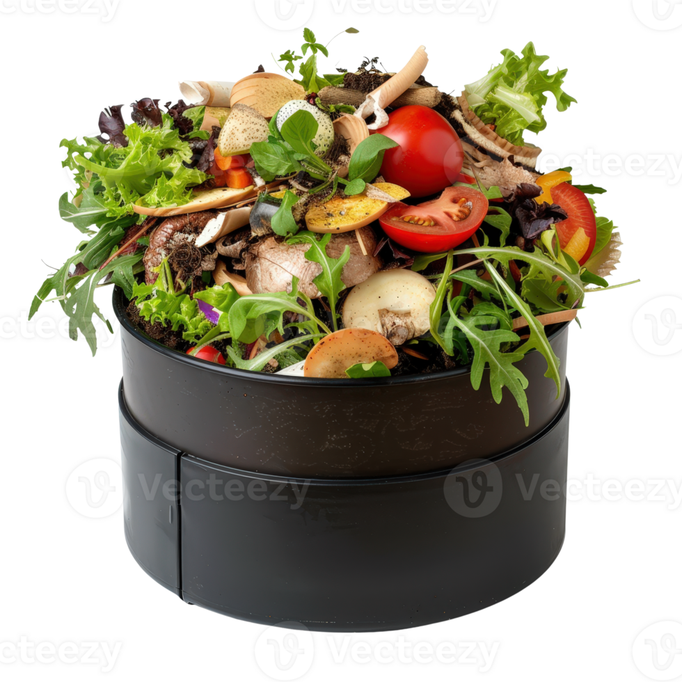 Freshly Prepared Colorful Salad Mix with Leafy Greens, Sliced Vegetables, and Tasty Garnishes png