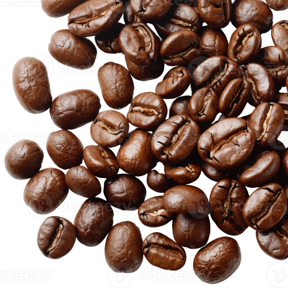 Freshly Roasted Coffee Beans in Various Shapes and Textures for Coffee Lovers and Afficionados png