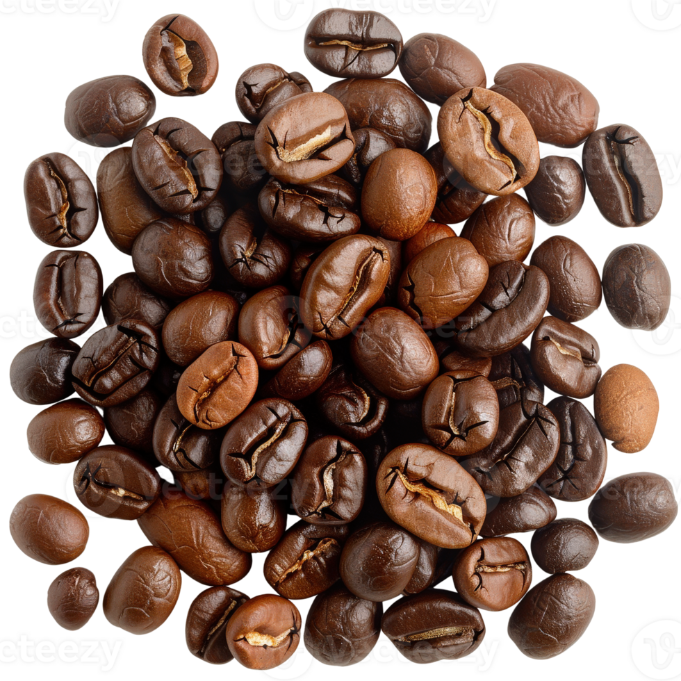 Freshly Roasted Coffee Beans in Various Shades Featuring Glossy Texture and Rich Aroma png