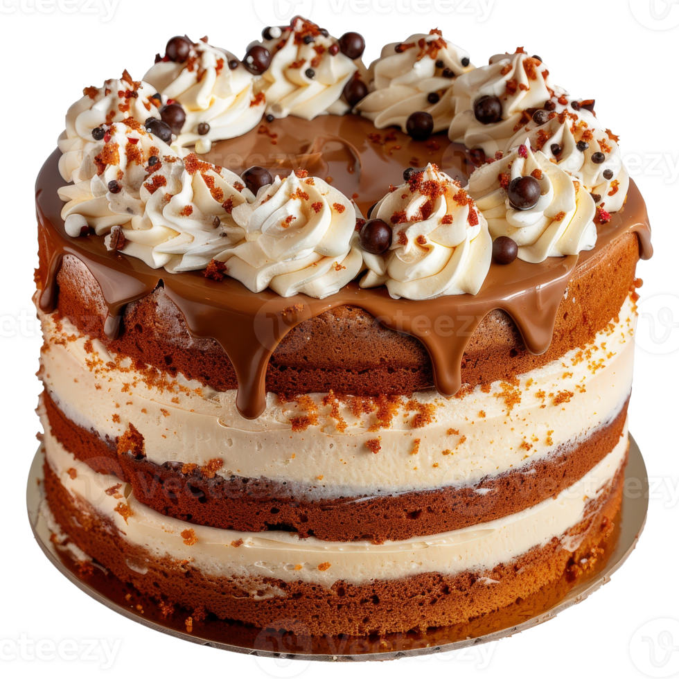 Decadent Chocolate Cake with Creamy Frosting and Chocolate Drizzle on Top png