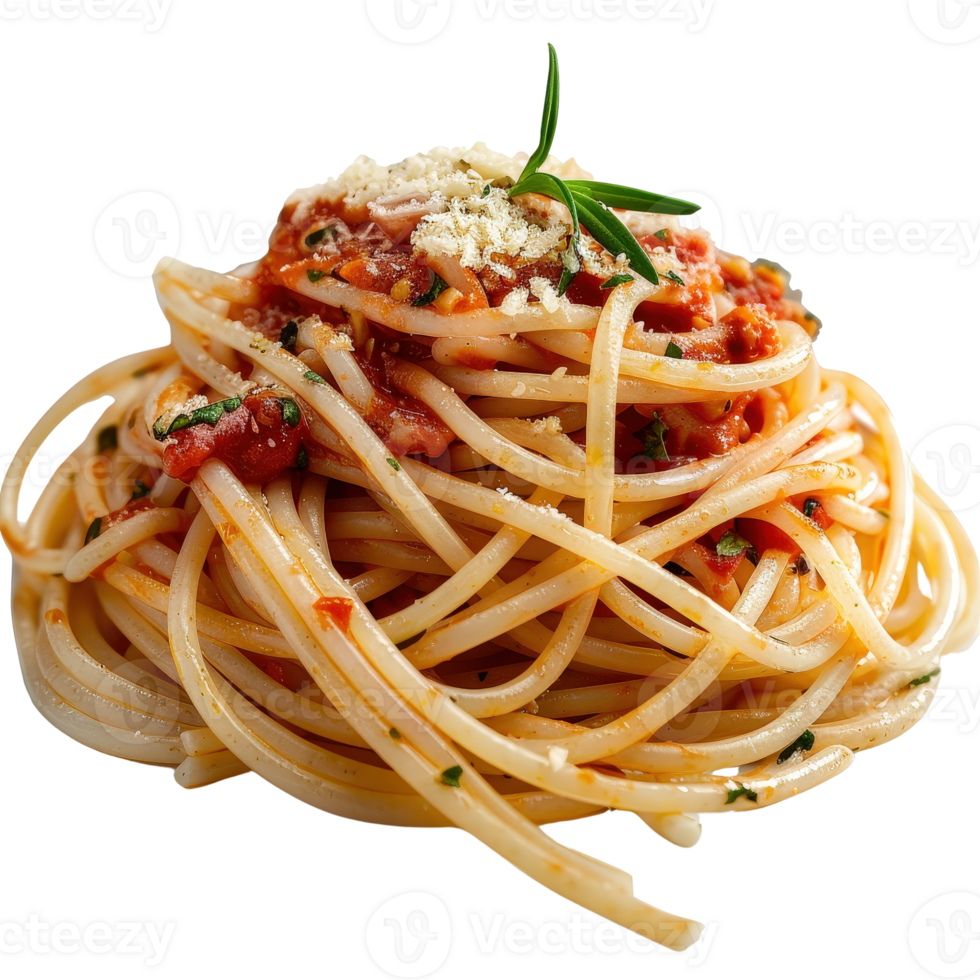 Delicious Spaghetti with Rich Tomato Sauce Topped with Fresh Herbs and Grated Cheese png