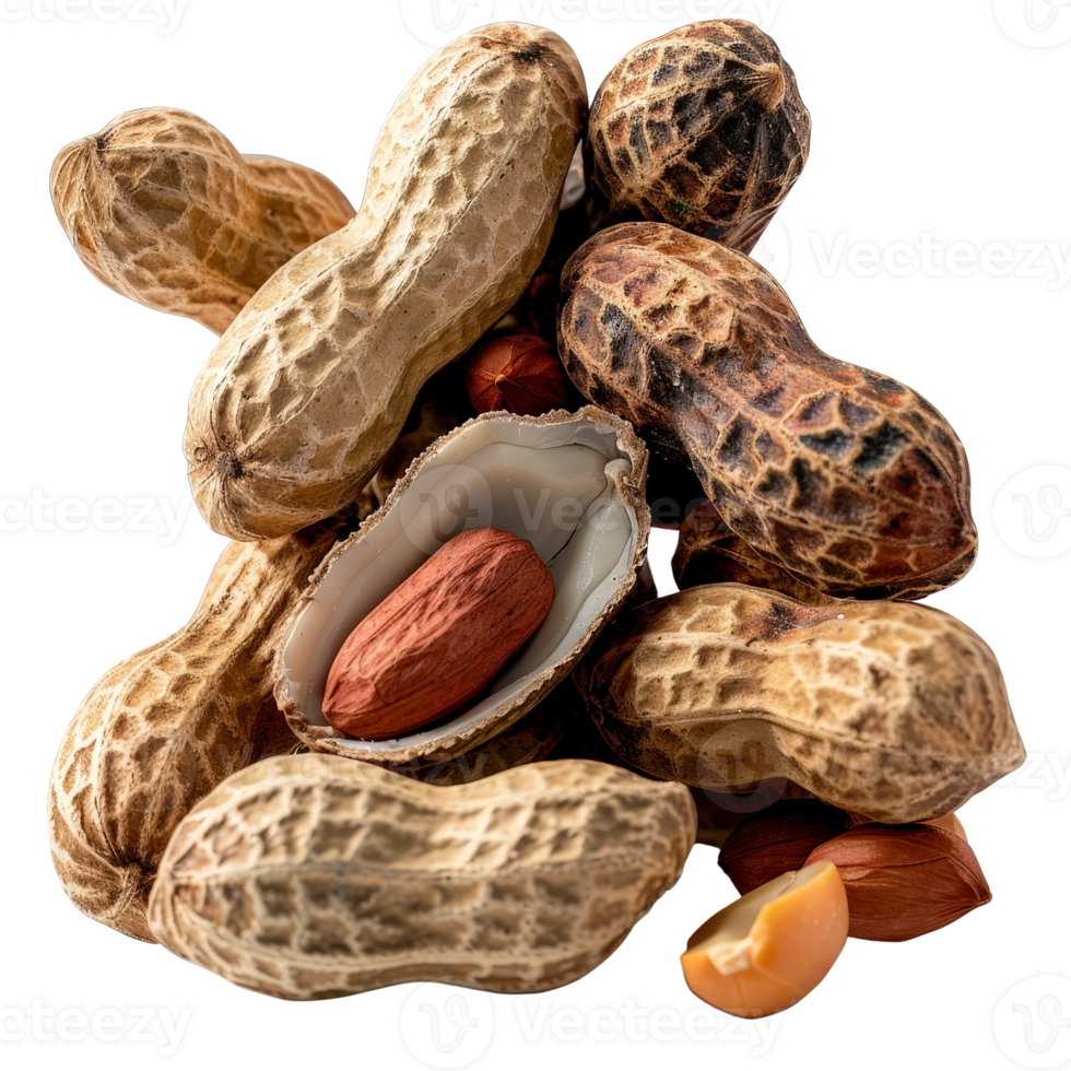 Raw and roasted peanuts in shells arranged artfully on a . for culinary use png