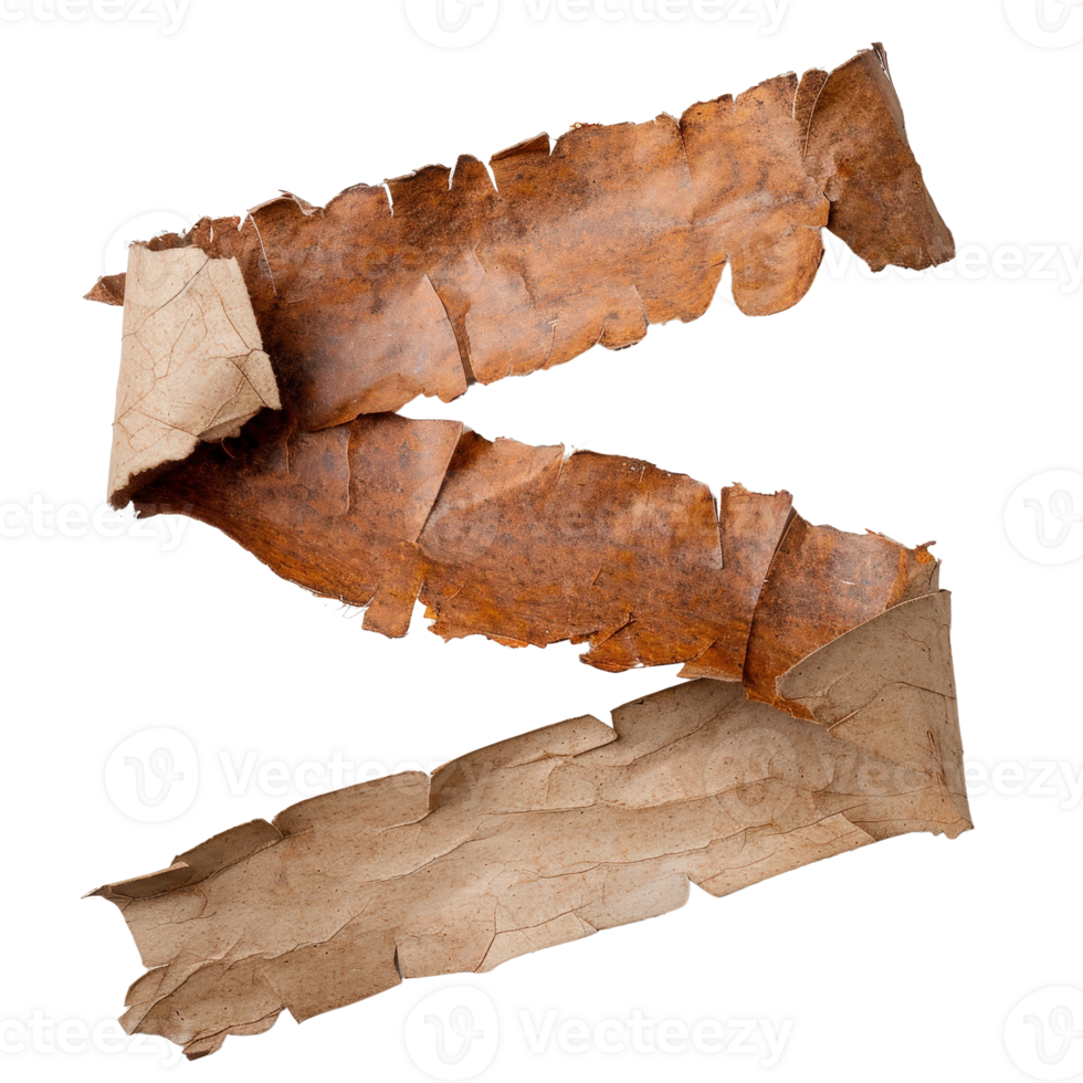 Natural Textured Bark Strips Isolated . for Craft and Design Projects png