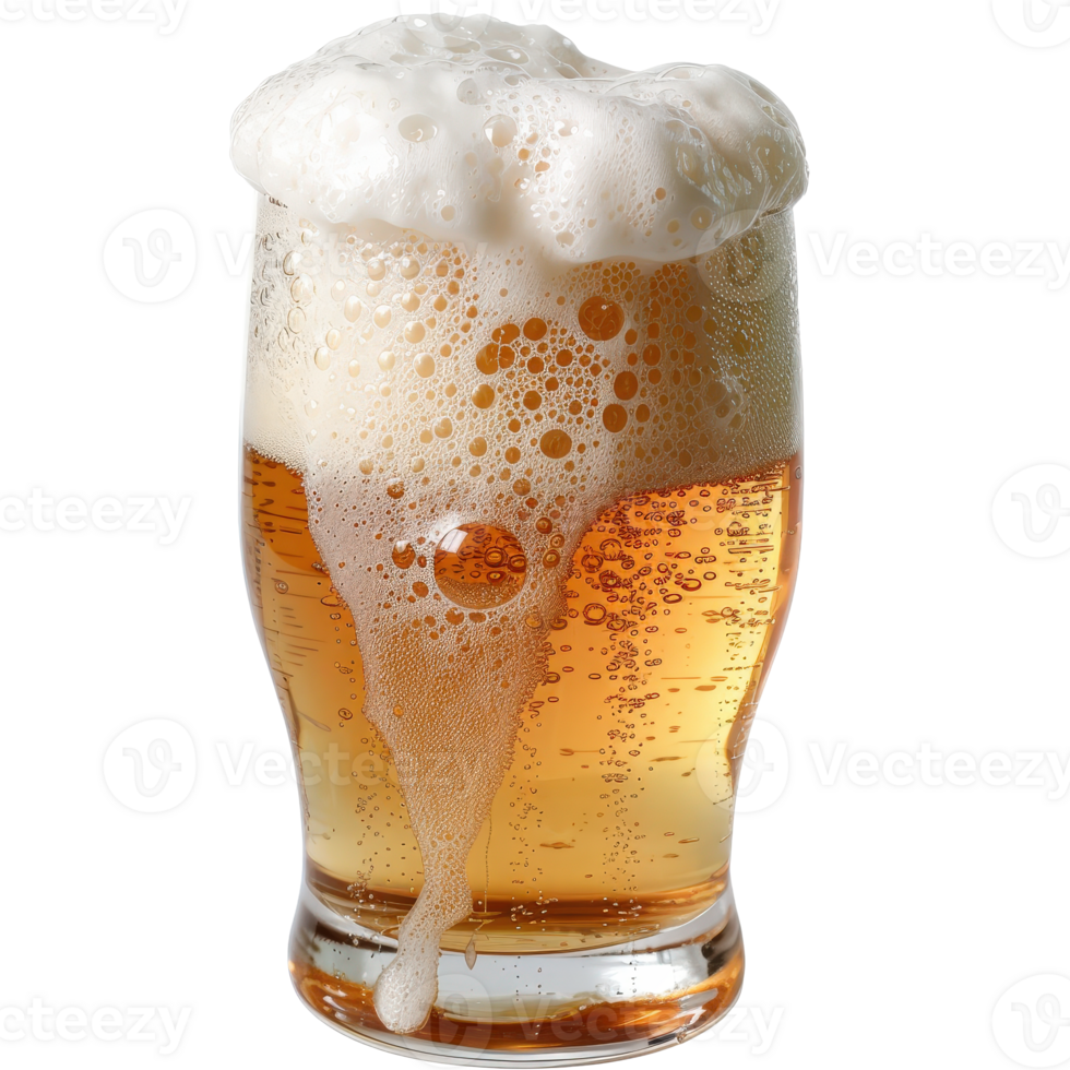 Freshly Poured Beer with Foam in a Clear Glass on a White Background png
