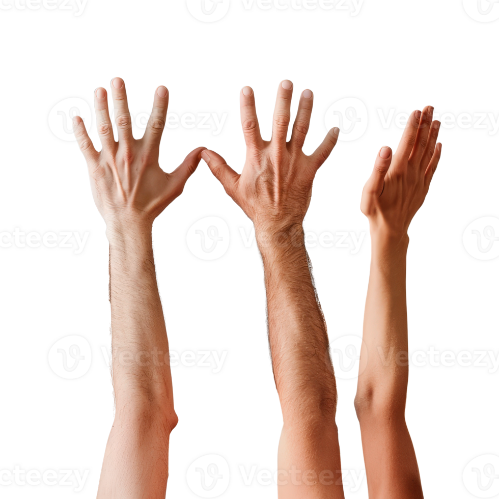 Hands Raised in Celebration, Joyful Gesture for Success, Unity, or Achievement in a Group png