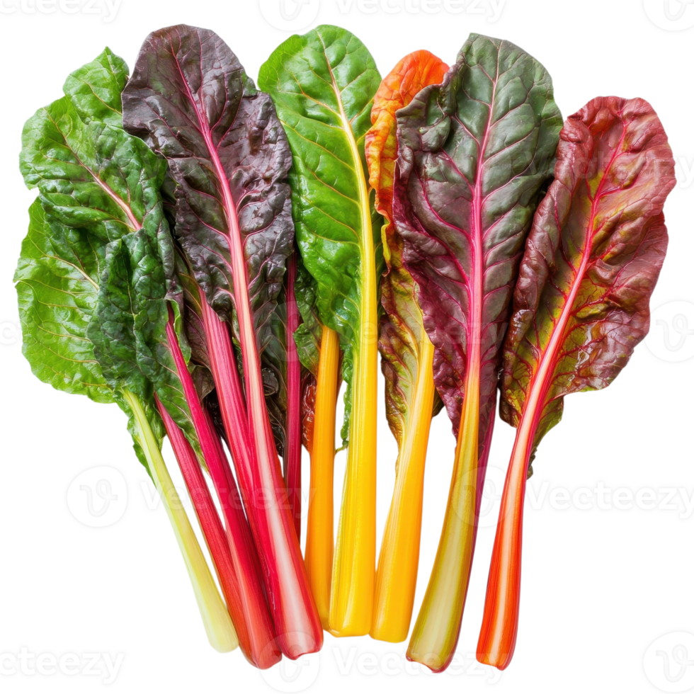 Vibrant Rainbow Chard Harvest on transparent background. png