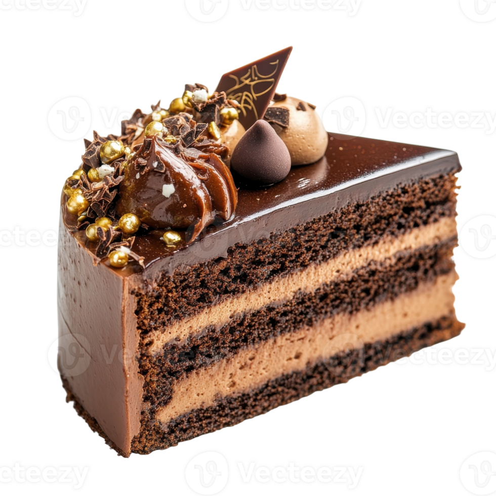 Chocolate Cake Slice on transparent background. png