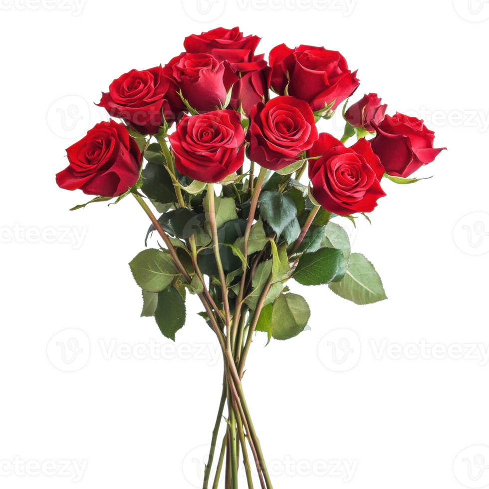 Red Roses Bouquet White Background on transparent background png