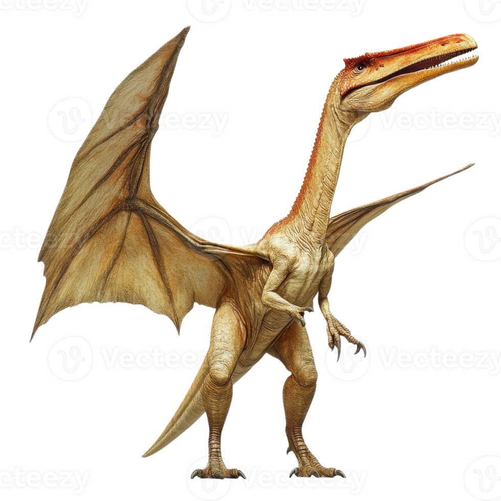 Prehistoric Pteranodon Dinosaur on transparent background. png