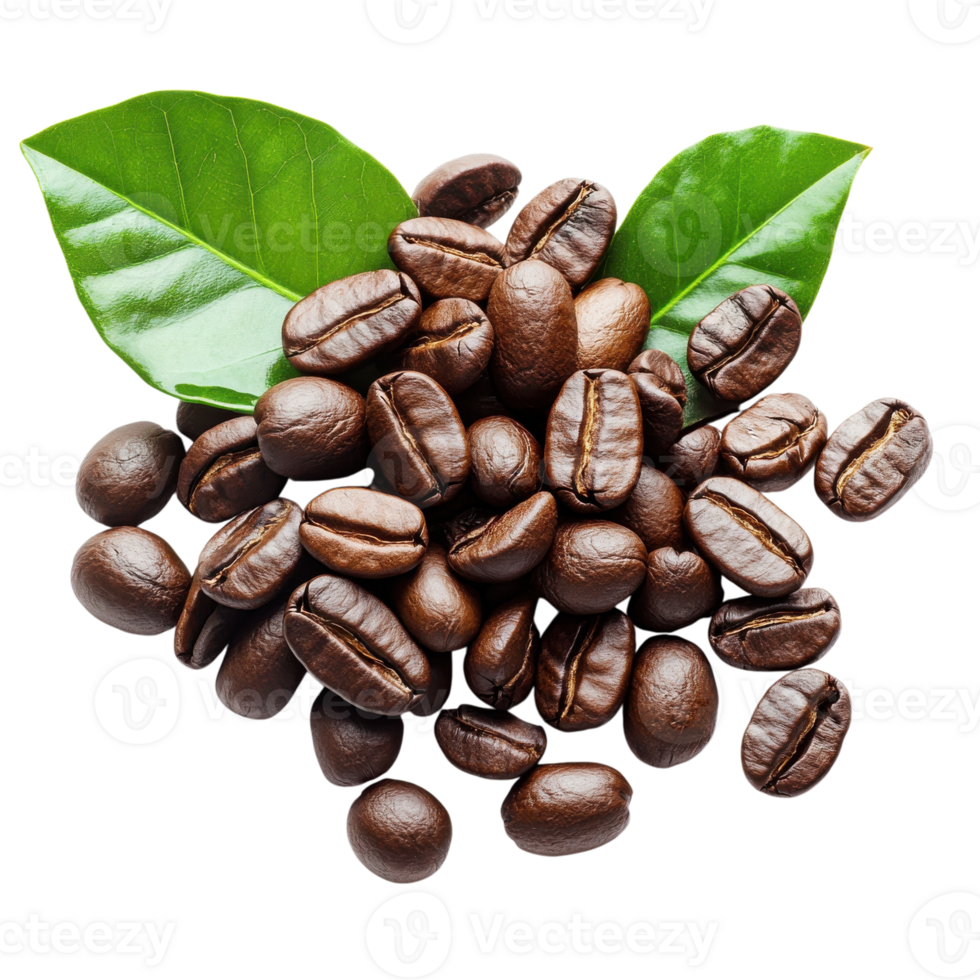 Fresh Coffee Beans with Leaves on transparent background. png
