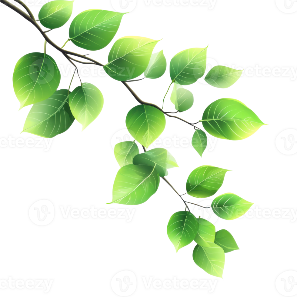 Sunlit Green Leaf Branch Illustration on transparent background. png