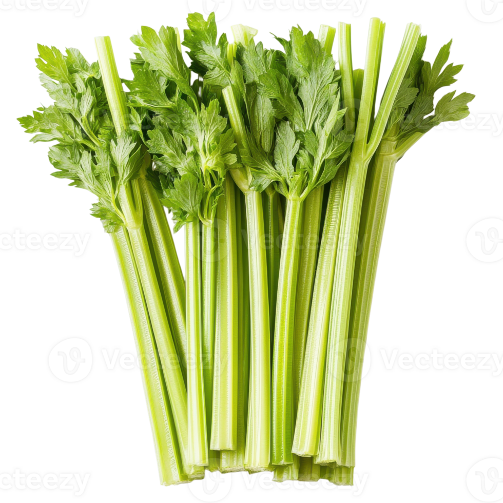 Healthy Celery Snack Vegan Food on transparent background. png